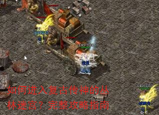 ��ν��븴�Ŵ���Ĵ����Թ�����������ָ��