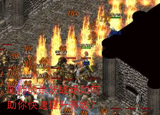 ��ʦ��ɱ��ս�����������������ȼ���