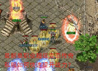 ���µ�ְҵ������̬����˽����ο�������ս����