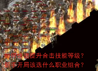 ��ο��������ϻ����ܵȼ������ֿ��ָ�ѡʲôְҵ��ϣ�
