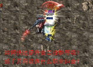 ��ο��������ϻ����ܵȼ������ֿ��ָ�ѡʲôְҵ��ϣ�