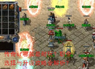 ����sf�Ŀ������棿ְҵѡ������������ȫ������