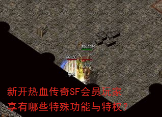�¿���Ѫ����SF��Ա���������Щ���⹦������Ȩ��