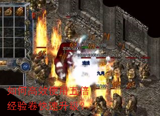 ��θ�Чʹ���屶���������������