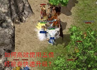��θ�Чʹ���屶���������������