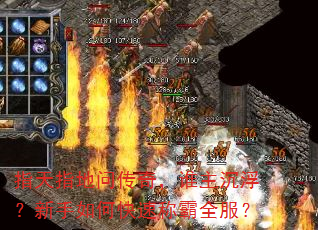 ָ��ָ���ʴ��棬˭��������������ο��ٳư�ȫ����