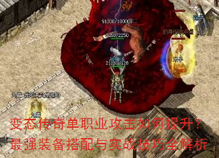 ��̬���浥ְҵ���������������ǿװ��������ʵս����ȫ����