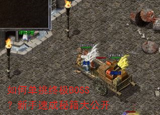 ��ε����ռ�BOSS�������ٳ��ؼ��󹫿�