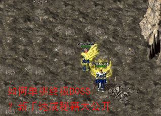 ��ε����ռ�BOSS�������ٳ��ؼ��󹫿�