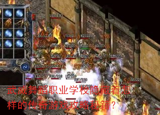 武威舞蹈职业学校隐藏着怎样的传奇游戏攻略秘籍? 武威舞蹈职业学校隐藏着怎样的传奇游戏攻略秘籍?