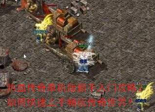 ��Ѫ���浥�����������Ź��ԣ���ο������ֳ��洫�����磿
