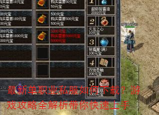 ���µ�ְҵ˽��������أ���Ϸ����ȫ���������������